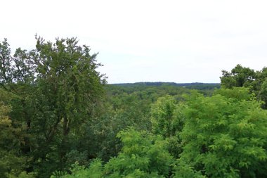 Biesenthal 'daki Kaiser-Friedrich-Turm hava manzaralı, Almanya' nın Brandenburg eyaletinde küçük bir kasaba.