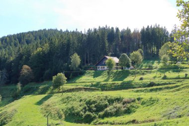 Alsace 'deki Route des Cretes' de manzara manzarası, Fransa 'da yazın Vosges.