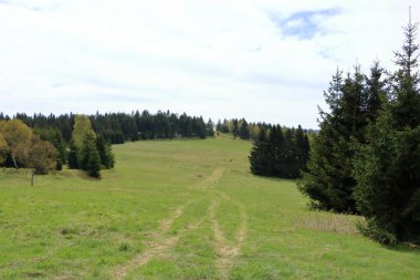 Baharda ağaçlarla ve çayırlarla dolu yeşil bir arazi.