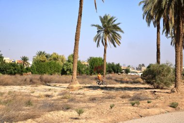 Kontes, Bağdat, Irak 'ta Bağdat - 14 Kasım 2024: Ktesifon Sarayı veya Tak-i Kisra' nın karşısındaki binada yaşayan insanlar Saddam Hüseyin 'in sinema, propaganda ve kültür merkezi olarak kullanıldı.