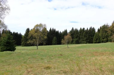 Baharda ağaçlarla ve çayırlarla dolu yeşil bir arazi.