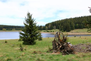 Çek Cumhuriyeti 'ndeki Flaje barajının önündeki manzara ve rezervuar