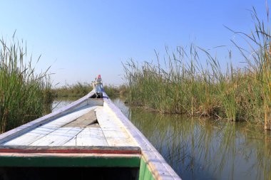 Chibayish, Chabaish, Nasiriya yakınlarındaki Irak bataklıklarında bir tekne gezisi.