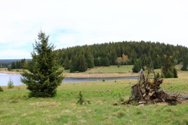 Çek Cumhuriyeti 'ndeki Flaje barajının önündeki manzara ve rezervuar