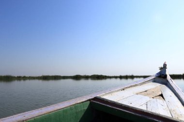 a boat trip in the marshlands of iraq near Chibayish, Chabaish, Nasiriya clipart