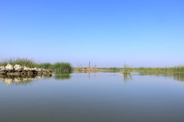 Chibayish, Chabaish, Nasiriya yakınlarındaki Irak bataklıklarında bir tekne gezisi.