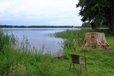 Shore area with reeds at a small lake in Wandlitz, Brandenburg in Germany clipart