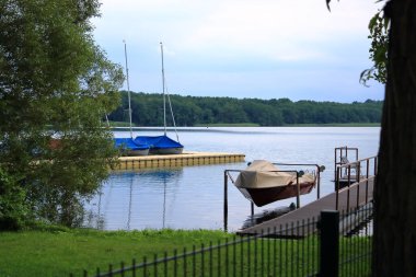 Shore area with reeds at a small lake in Wandlitz, Brandenburg in Germany clipart