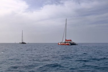 Costa Adeje, Tenerife, İspanya 'daki Kanarya Adaları - 02 Aralık 2024: Batı kıyısındaki balina ve yunuslara bakan tekneler