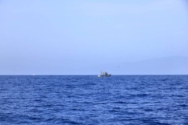 Tenerife, İspanya 'daki Kanarya Adaları - 02 Aralık 2024: Kıyı şeridinin önündeki geleneksel balıkçı teknesi