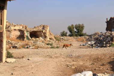 Mosul, Mossul in Iraq - November 17 2024: view to the destroyed houses after the battle for Mosul in 2016 clipart