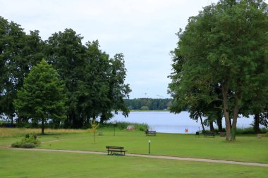 Wandlitz, Brandenburg, Almanya - 26 Temmuz 2024: insanlar küçük bir göl kıyısında sazlıkların keyfini çıkarıyorlar