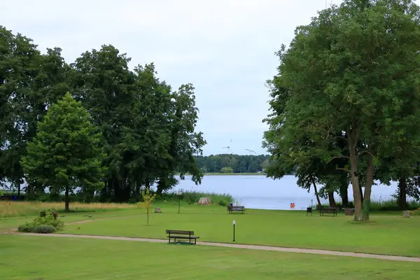 Wandlitz, Brandenburg, Almanya - 26 Temmuz 2024: insanlar küçük bir göl kıyısında sazlıkların keyfini çıkarıyorlar