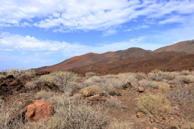 Sersemletici volkanik manzara, engebeli lav kayaları ve El Hierro, Kanarya Adaları, İspanya 'daki yeşil bitki örtüleri.