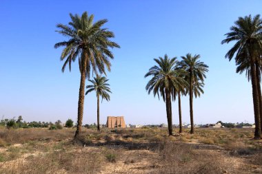 Bağdat yakınlarındaki Kontes, Irak 'taki Bağdat, Ktesifon Sarayı ya da Tak Kisra' nın karşısındaki bina Saddam Hüseyin 'in sinema, propaganda ve kültür merkezi olarak kullanıldı.