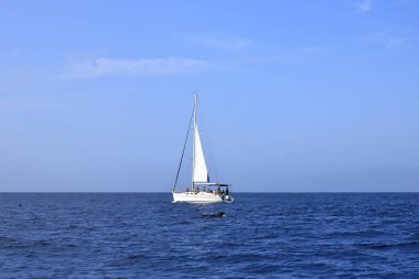 Costa Adeje, Tenerife, İspanya 'daki Kanarya Adaları - 02 Aralık 2024: batı kıyısı önünde balinalı tekne