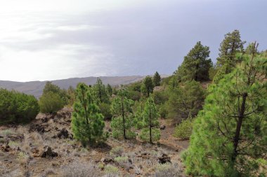Cala de Tacoron körfezi El Hierro Adası, İspanya 'daki El Julan bakış açısından görüldü.
