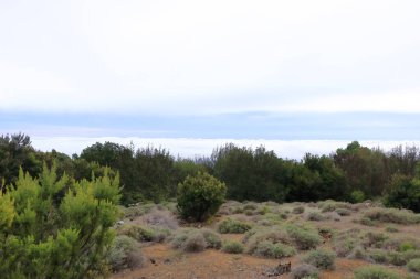 Caldera yakınlarındaki Hoya de Fireba, El Hierro, Kanarya Adaları, İspanya