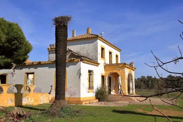 İspanya 'da El Higueron, Cordoba, Endülüs yakınlarındaki bir evin çatısında oturan leylekler.