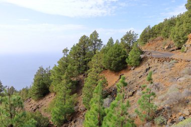 Cala de Tacoron körfezi El Hierro Adası, İspanya 'daki El Julan bakış açısından görüldü.