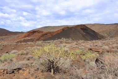 Sersemletici volkanik manzara, engebeli lav kayaları ve El Hierro, Kanarya Adaları, İspanya 'daki yeşil bitki örtüleri.