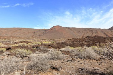 Sersemletici volkanik manzara, engebeli lav kayaları ve El Hierro, Kanarya Adaları, İspanya 'daki yeşil bitki örtüleri.