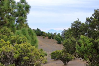 Tenerife 'deki Teide volkanı tepesi İspanya' daki El Hierro, Kanarya Adaları 'ndan görüldü.