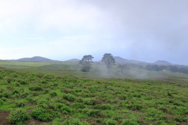 El Sabinar, El Hierro, Kanarya Adaları, İspanya