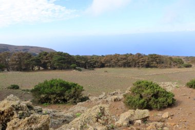 El Sabinar, El Hierro, Kanarya Adaları, İspanya