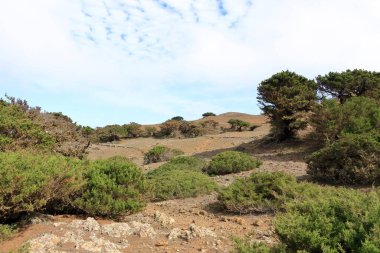 El Sabinar, El Hierro, Kanarya Adaları, İspanya