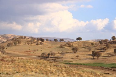 Erbil, Kürdistan, Irak yakınlarındaki Gomaspan Barajı 'nda göl