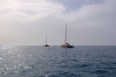 Costa Adeje, Tenerife, İspanya 'daki Kanarya Adaları - 02 Aralık 2024: Batı kıyısındaki balina ve yunuslara bakan tekneler