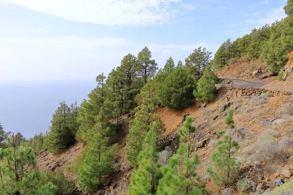 Cala de Tacoron körfezi El Hierro Adası, İspanya 'daki El Julan bakış açısından görüldü.