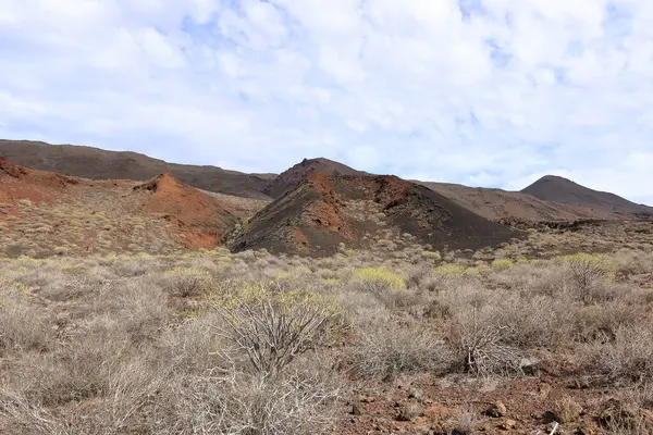 Sersemletici volkanik manzara, engebeli lav kayaları ve El Hierro, Kanarya Adaları, İspanya 'daki yeşil bitki örtüleri.
