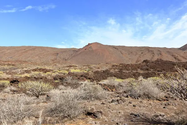 Sersemletici volkanik manzara, engebeli lav kayaları ve El Hierro, Kanarya Adaları, İspanya 'daki yeşil bitki örtüleri.