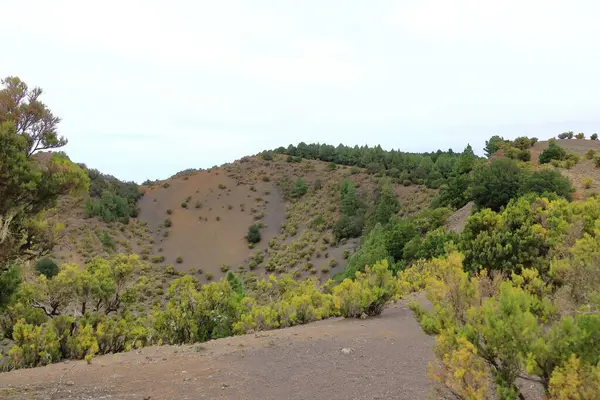 Hoya de Fireba 'daki dev Caldera, El Hierro, Kanarya Adaları, İspanya
