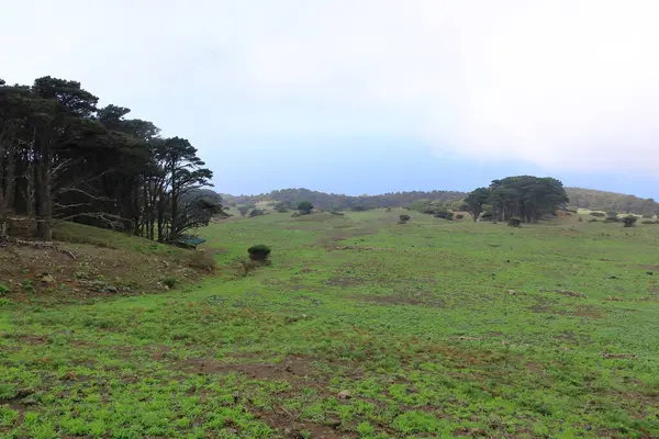 El Sabinar, El Hierro, Kanarya Adaları, İspanya