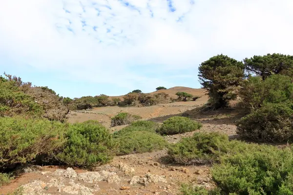 El Sabinar, El Hierro, Kanarya Adaları, İspanya