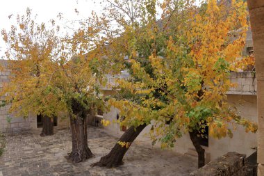 Lalish 'teki Yezidis tapınağı, Kürdistan, Irak