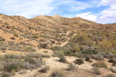 Tabernas Çölü manzarası. Almerya Eyaleti, Endülüs İspanya