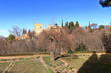 Granada, Endülüs 'teki tarihi Alhambra Sarayı.