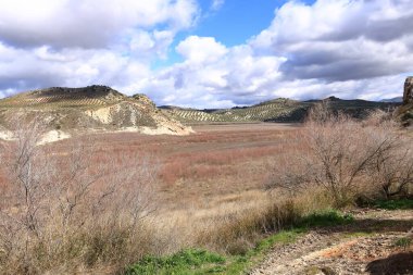 Vadomojon mumyalaması, yamaçlarında zeytin koruluğu olan bataklık suyu gölü. Albendin 'deki Vadomojon rezervuarı - İspanya' daki Cordoba