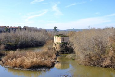 Puente Romano de Cordoba, Endülüs, İspanya
