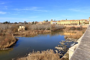 Puente Romano de Cordoba, Endülüs, İspanya