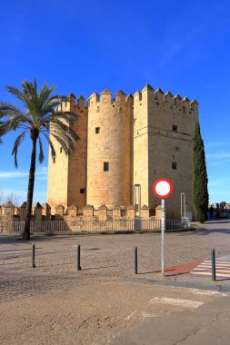 Cordoba 'daki Torre De Calahorra, İspanya' daki Endülüs