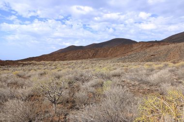 Sersemletici volkanik manzara, engebeli lav kayaları ve El Hierro, Kanarya Adaları, İspanya 'daki yeşil bitki örtüleri.