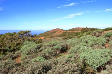 El Sabinar, El Hierro, Kanarya Adaları, İspanya