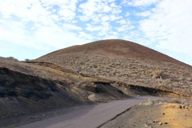 El Sabinar, El Hierro, İspanya 'daki Kanarya Adaları yakınlarındaki Atlantik Okyanusu' nun kıyısında bir uçurumun kenarında büyüyen rüzgarla bükülmüş bir ardıç ağacı.