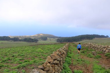 El Sabinar, El Hierro, Kanarya Adaları, İspanya