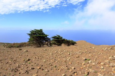 El Sabinar, El Hierro, Kanarya Adaları, İspanya